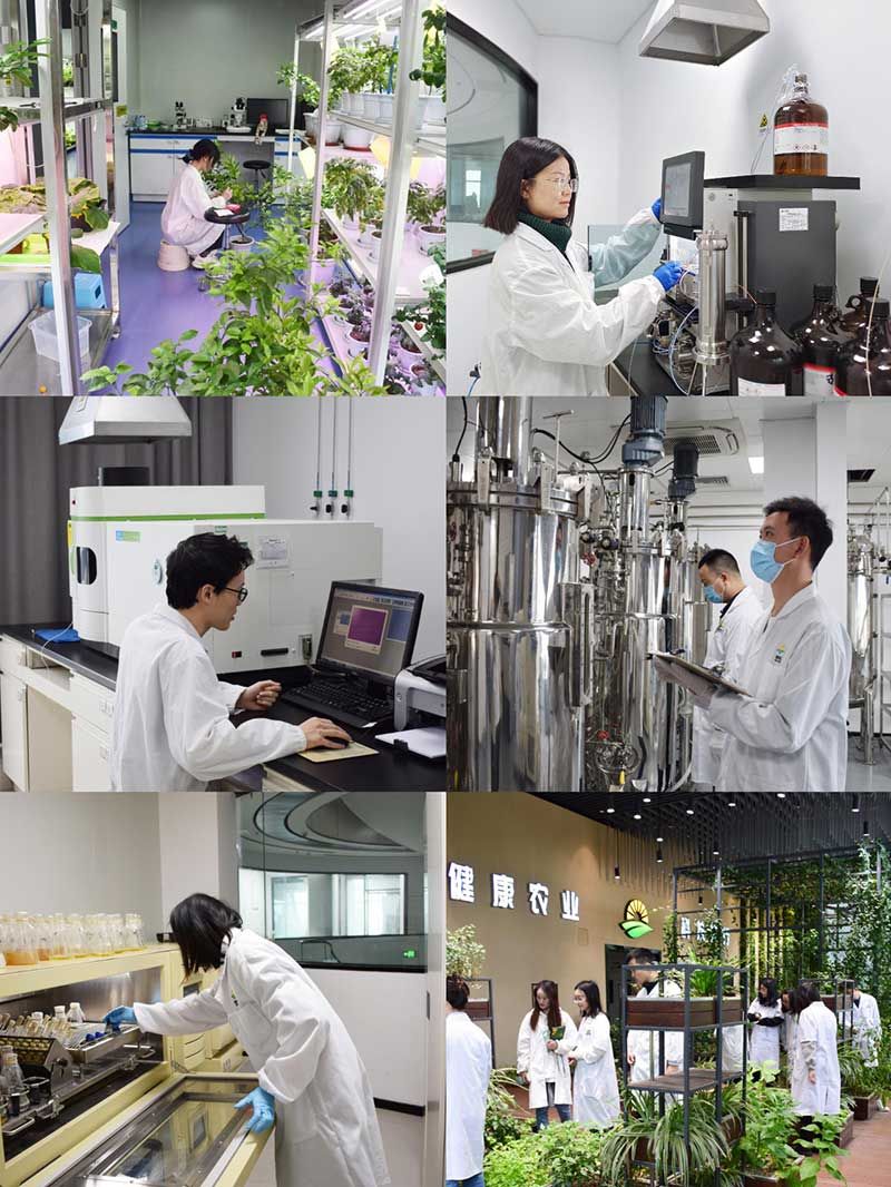 “全國科技工作者日”：推動農(nóng)業(yè)綠色高質(zhì)量發(fā)展，新朝陽科研人在路上